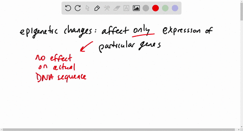 what-are-common-epigenetic-changes-2
