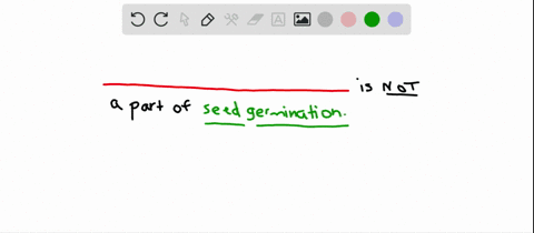 which-of-the-following-doesdo-not-participate-in-seed-germination-a-imbibition-of-water-b-metabolic-