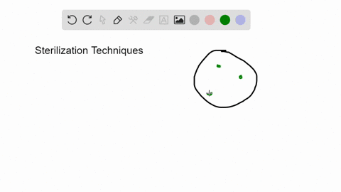 fill-in-the-blank-in-the-disk-diffusion-assay-a-large-zone-of-inhibition-around-a-disk-to-which-a--2