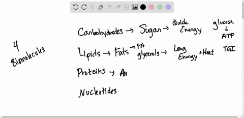 _____-are-the-richest-energy-source-in-the-body-a-sugars-b-proteins-c-fats-d-nucleic-acids