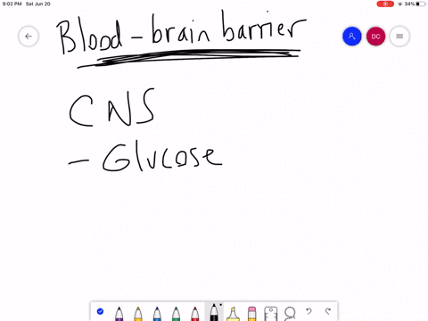 which-of-the-following-substances-is-least-able-to-cross-the-blood-brain-barrier-a-water-b-sodium-io