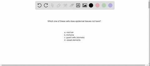 which-of-the-following-cell-types-does-not-originate-from-epidermal-tissue-a-root-hair-b-trichome-c-
