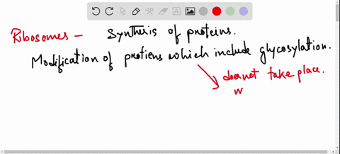 which-of-the-following-sequences-correctly-lists-in-order-the-steps-involved-in-the-incorporation--2