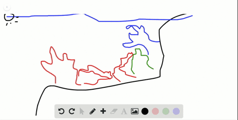 where-are-coral-reefs-found-a-shallow-ocean-water-b-deep-ocean-water-c-deep-ocean-surfaces-d-shallow