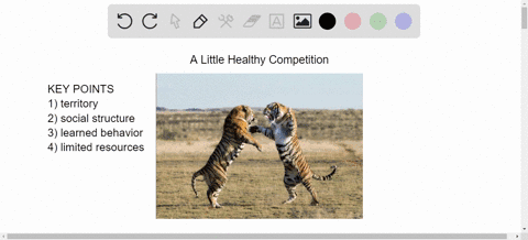 infer-how-an-animal-might-starve-if-its-parents-failed-to-teach-it-competitive-behaviors