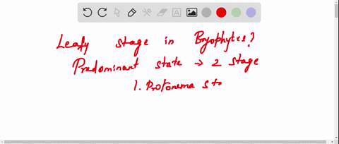 leafy-stage-in-bryophytes-a-develops-from-secondary-protonema-b-consist-of-upright-slender-axis-and-