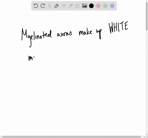 myelinated-axons-make-up-the-_____-matter-of-the-brain-and-spinal-cord