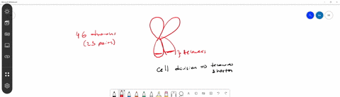 many-cancer-cells-are-immortal-and-can-be-cultured-in-the-laboratory-for-many-years-many-of-these--2