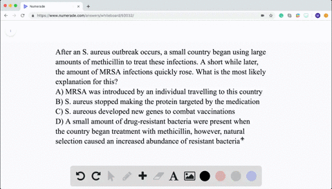 within-six-months-of-effectively-using-methicillin-to-treat-s-aureus-infections-in-a-community-all-n