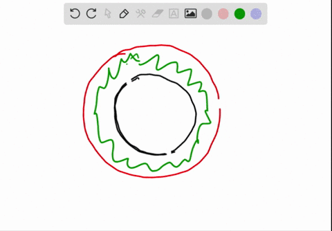 the-root-pericycle-is-the-site-where-a-secondary-growth-originates-b-root-hairs-originate-c-lateral-