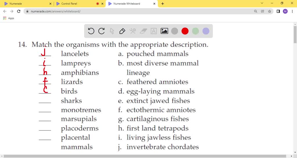 SOLVED:4. Match the organisms with the appropriate description