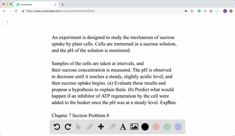 scientific-inquiry-an-experiment-is-designed-to-study-the-mechanism-of-sucrose-uptake-by-plant-cells