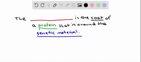 the-is-the-protein-coat-of-a-virus-that-surrounds-the-genetic-material-a-host-d-viroid-b-prion-c-cap