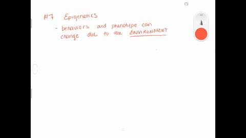 epigenetics-is-the-study-of-the-molecular-mechanisms-by-which-______-trigger-or-block-genetic-expres