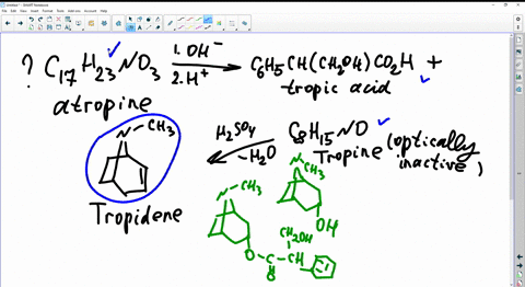 atropine-mathrmc_17-mathrmh_23-mathrmno_3-is-a-poisonous-alkaloid-isolated-from-the-leaves-and-roots