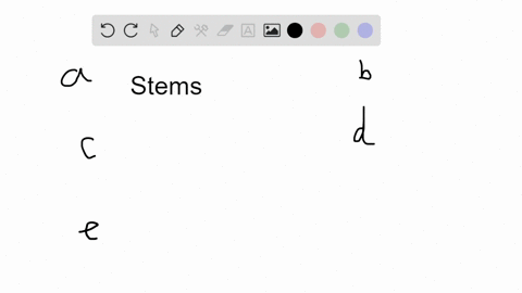 which-of-the-following-is-not-part-of-a-stem-a-petiole-b-pith-c-xylem-d-procambium-e-ground-meristem