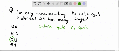 for-easy-understanding-the-calvin-cycle-is-divided-into-how-many-stages-a-1-b-2-c-3-d-4