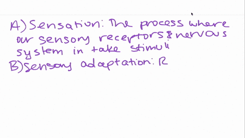 the-process-by-which-we-organize-and-interpret-sensory-information-is-called-a-sensation-b-sensory-a