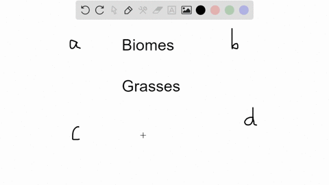 the-biome-pictured-here-is-the-______-a-temperate-grasslands-b-tundra-c-tropical-rainforest-d-chapar