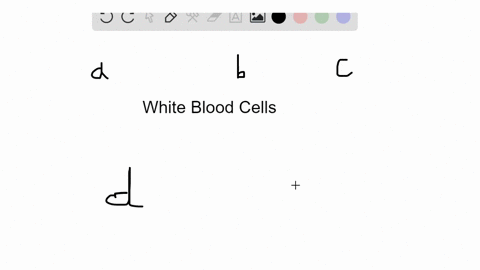 match-each-description-with-a-white-blood-cell-in-the-key-not-all-answers-will-be-used-key-a-lymph-2