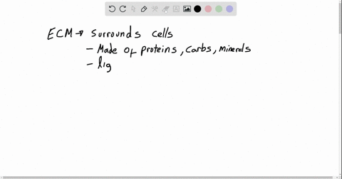 the-extracellular-matrix-ecm-is-partly-formed-by-some-types-of-connective-tissue-cells-and-a-contain