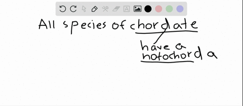 which-of-the-following-statements-regarding-all-species-of-chordates-is-false-a-chordates-are-deuter