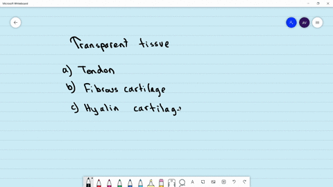 which-of-the-following-is-a-transparent-tissue-a-tendon-b-fibrous-cartilage-c-hyaline-cartilage-d-al
