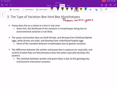 Open Letter To Nehemia Gordon A Noted Torah Last Trumpet Org