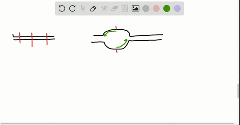 draw-a-molecule-of-dna-undergoing-eukaryotic-linear-replication-on-your-drawing-identify-a-origin-of