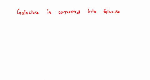 galactose-is-converted-into-glucose-in-a-liver-b-stomach-c-mouth-d-anintestine