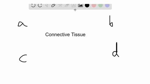 which-of-the-following-is-found-in-a-connective-tissue-a-ground-substance-b-protein-fibers-c-speci-2