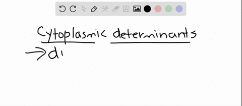 which-statement-about-cytoplasmic-determinants-in-drosophila-is-not-true-a-they-specify-the-dorsalve