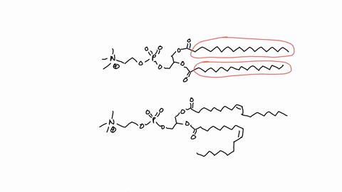 the-composition-of-a-cell-membrane-is-not-uniform-for-all-types-of-cells-some-cell-membranes-are-m-2