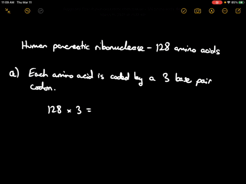human-pancreatic-ribonuclease-has-128-amino-acid-residues-a-what-is-the-minimum-number-of-nucleotide