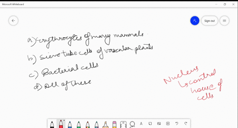 the-following-cells-are-without-nucleus-a-erythrocytes-of-many-mammals-b-sieve-tube-cells-of-vascula