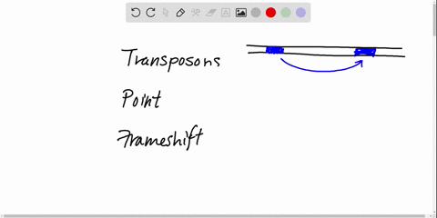 choose-from-the-following-a-transposon-b-point-mutation-c-frameshift-mutation-causes-a-change-in-a-s