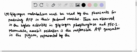 comparative-biochemistry-energy-generating-pathways-in-birds-one-indication-of-the-relative-importan