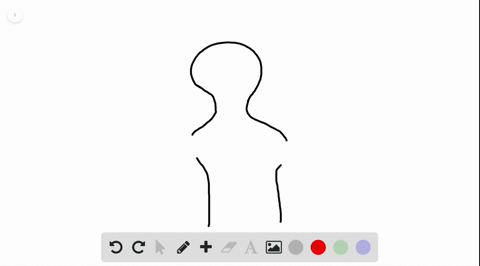 beginning-with-the-mouth-and-going-from-af-which-structure-is-out-of-order-first-when-tracing-the-pa