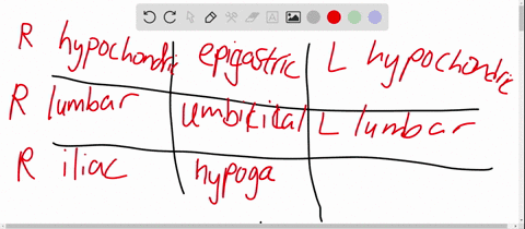 a-make-a-diagram-showing-the-nine-abdominopelvic-regions-and-name-each-region-name-two-organs-or-par