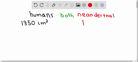 compare-neanderthals-and-modern-humans