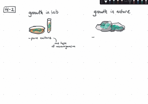 compared-with-their-growth-in-the-laboratory-bacteria-in-nature-generally-grow-a-more-slowly-b-fas-2