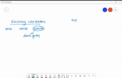 using-at-least-two-examples-explain-how-the-process-of-evolution-is-revealed-by-the-imperfections-of