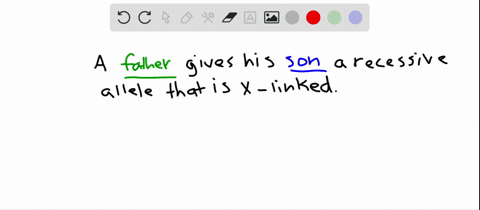 is-this-statement-true-or-false-a-son-can-inherit-an-x-linked-recessive-allele-from-his-father-4