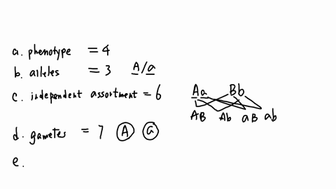 Solved] ADULART Match the word or phrase in the left column with