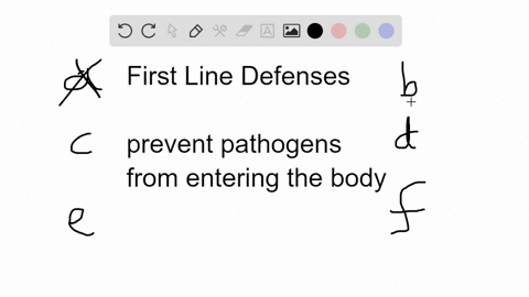 which-of-the-following-is-not-among-the-first-line-of-immune-defenses-against-infection-a-skin-b-aci
