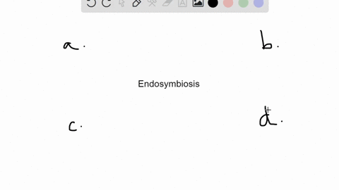 which-of-these-protists-is-believed-to-have-evolved-following-a-secondary-endosymbiosis-a-green-alga