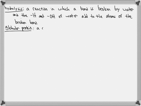 write-a-one-or-two-sentence-definition-in-your-own-words-for-each-term-hydrolysis-quad-globular-prot