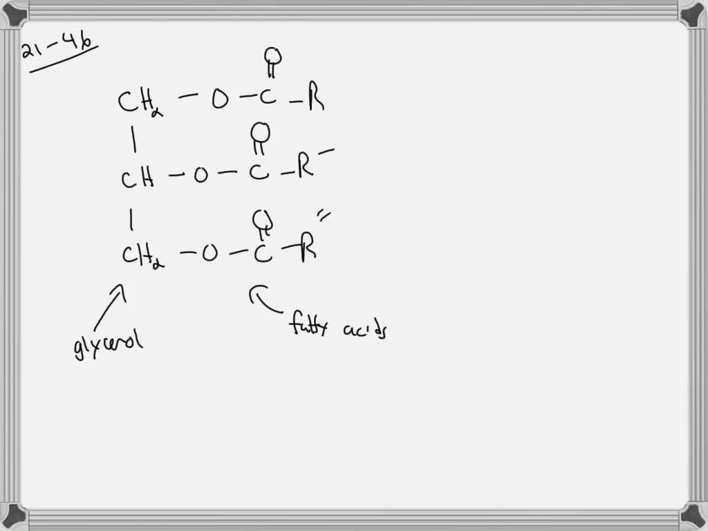 solved-sketch-the-general-structure-of-a-triglyceride-what-are-the