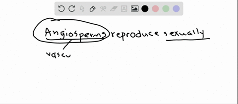 sexual-reproduction-in-angiosperms-a-is-by-way-of-apomixis-b-requires-the-presence-of-petals-c-can-2