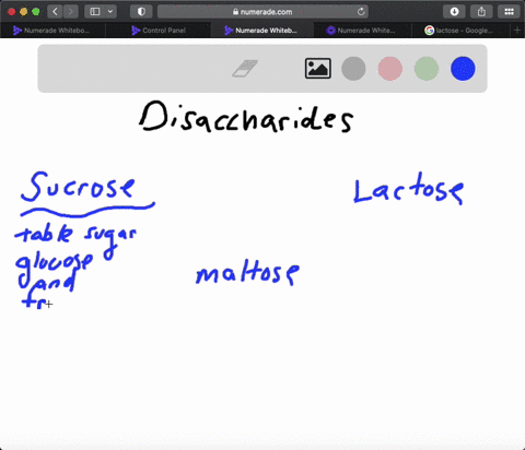 identify-the-disaccharide-that-fits-each-of-the-foll-descriptions-a-not-a-reducing-sugar-b-composed-